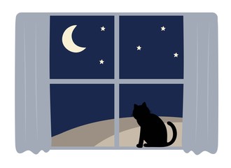 cat looking out window midnight blue