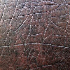 leather texture background