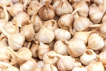 Garlic on sale in market stand. Healthy and medicinal vegetables. Traditional cure for colds and flu. Harvest of garlic.