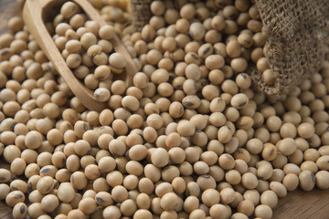 closeup is some soybeans with wooden spoon