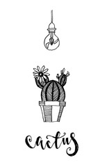 sketch of cactus and bulb. illustration of minimalist style