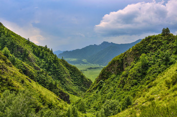 Obraz premium Magnificent summer mountain landscape, Altai mountains, Russia - slopes of mountains with forests and green grass covered, cloudy sky and majestic beauty of nature