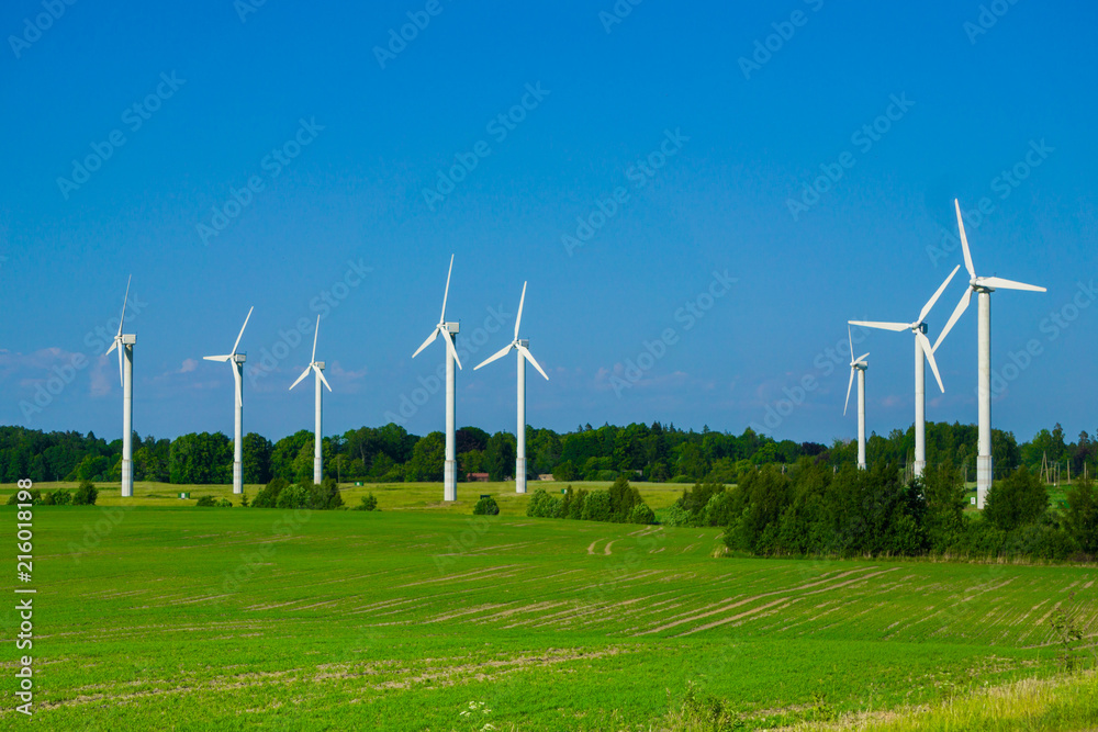 Wall mural windmill type wind electricity generator in the field in latvia in summer