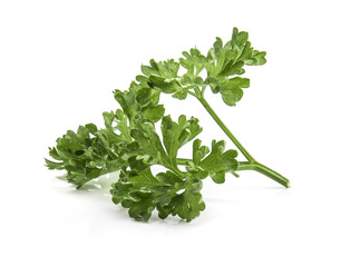 Fototapeta premium Parsley isolated on white background