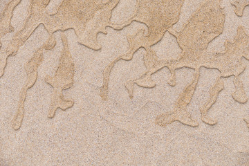 Traces d'eau sur le sable