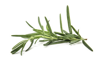 Fototapeta premium rosemary isolated on white background