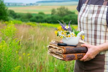 Woman holding in her hands books, a mortar and magnifying glass. Herbalist collects medicinal plants on a meadow.