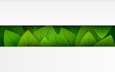 Banner postcard green leaves on a white background with empty space for your text. Vector illustration