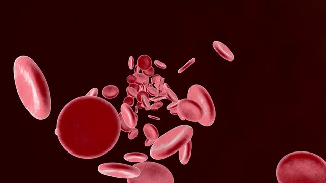 Flowing Erythrocyte aka Hemoglobin cells . 		
