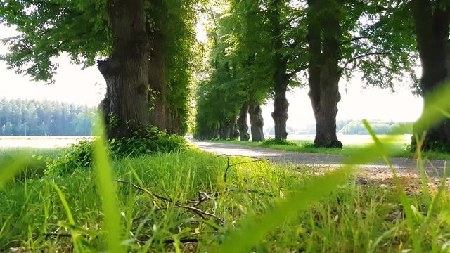 Shoot taken with Samsung s8 in 4k 3840x2160,,Uplandsv&auml;sby,Stockholm,Sweden.