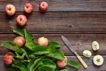 Fresh juicy apples on  branch with green leaves and knife on wooden background in vintage stile.  Close-up, top view, space for your text