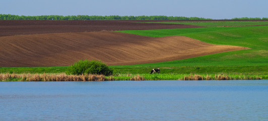 Beautiful summer landscape of Ukrainian Polissya. A hilly field. Ukraine, European country. The beauty of Ukrainian nature attracts tourists from all over the world. 