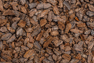 Background texture of a small pieces of bark of a tree