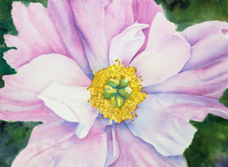 Obrazy na Szkle  różowy kwiat piwonii
