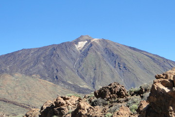 Teneriffa,Vulkan,Palmen,Schildkröte,Teneriffa,Pflanzenwelt