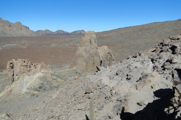Teneriffa,Vulkan,Palmen,Schildkröte,Teneriffa,Pflanzenwelt