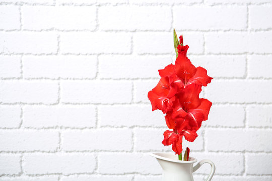 Jug with beautiful gladiolus flowers against brick wall