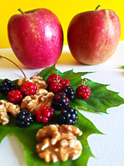 Herbst Früchte - Autumn Fruits