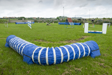 Obraz premium CIRCUITO DE AGILITY PARA ENTRENAMIENTO DE PERROS