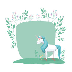 frame decorative with unicorn and flowers vector illustration design