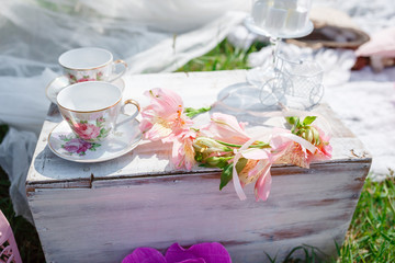 A small cozy children's corner in the open air, under the shadow of a tree in the field.