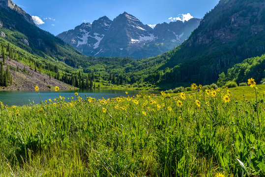Flowering Mountain Valley - Springtime at Maroon Creek Valley, Aspen, Colorado, USA. © Sean Xu
