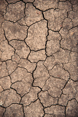 Dry land, concept of drought, critical water shortage.