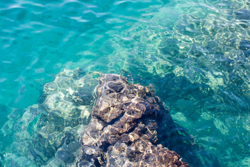 Beautyfull bottom of sea, with rocks and sunlighs