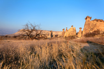 Долина в Каппадокии в ясный солнечный день
