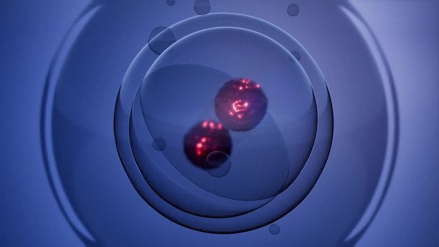 loop rotate cell division illustration