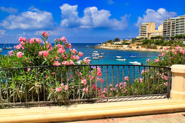 Colorful flowers bloom at the coast of the St Julian's, Malta - obrazy, fototapety, plakaty