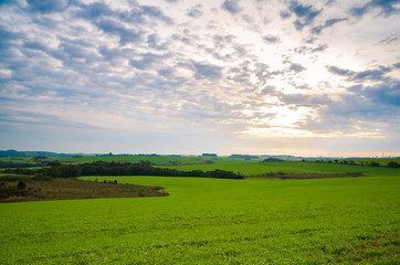 Fototapeta premium Beautiful landscape of green field and cloudy sky