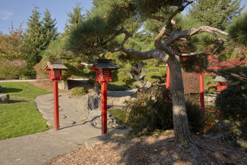 Fototapeta na wymiar Japanese garden in Tacoma Washington