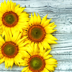 Obraz premium autumn background with sunflowers on a wooden board