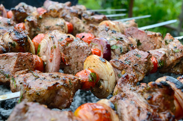 Juicy shish kebab from pork, tomatoes on skewers, fried on a fire outdoor on a background of nature. Barbecue. Close-up