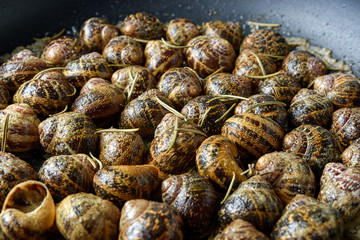 Fried snails in a frying pan with rosemary.