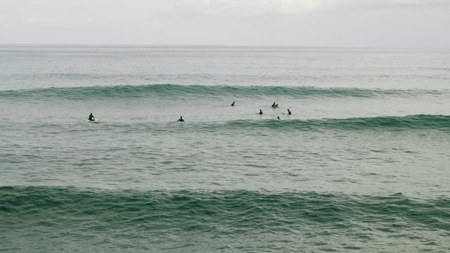 Surfers surf on waves of atlantic ocean on shore of Madeira