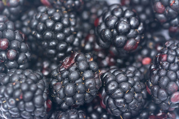 Ripe blackberries background. Background blackberries. Fruit background