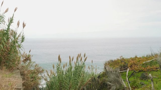 View of greatness of atlantic ocean from cliffy shore of Madeira island