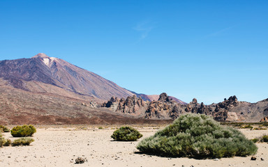 Fototapeta na wymiar Highest peak of Volcano Mount Teide with desert lonely bush in front of landscape. Tenerife, Canary islands