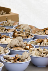 Purple plastic bowls filled with cultivated mushrooms for sale at the Clement Street Farmers Market in San Francisco.