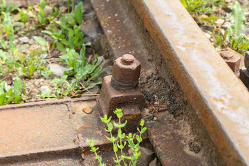 The Old Railroad / Fragments