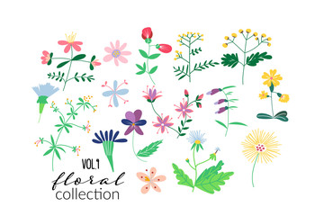 wild flower meadow illustration.vector floral elements. romantic hand drawn flowers and leaves collection.