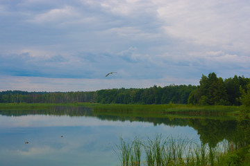 Obraz na płótnie Canvas Landscape - cloud and wood reflection in lake