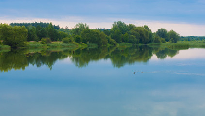 Landscape - lake and birds swim on smooth water