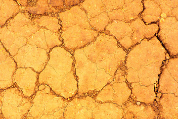 Dry cracked incinerated earth. Nature drought in the fire season. 