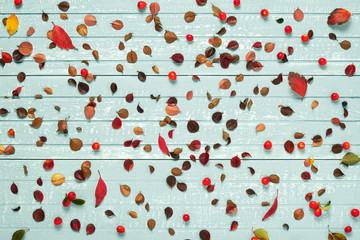 Autumnal frame for your idea and text. Autumn dry twigs with leaves of yellow, red, orange and small leaves of bright shrubs, located along the perimeter of the frame on an old wooden board