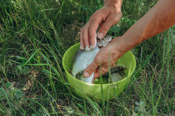 cooking fish porridge decoration fire picnic wild