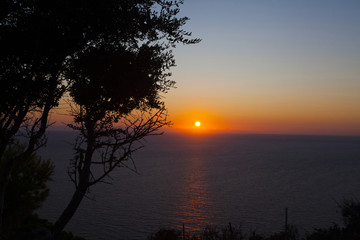 Obraz na płótnie Canvas Tree in beautiful sunset over the sea