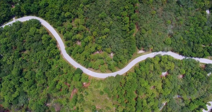 Top-down forest as a car drives on a lonely road